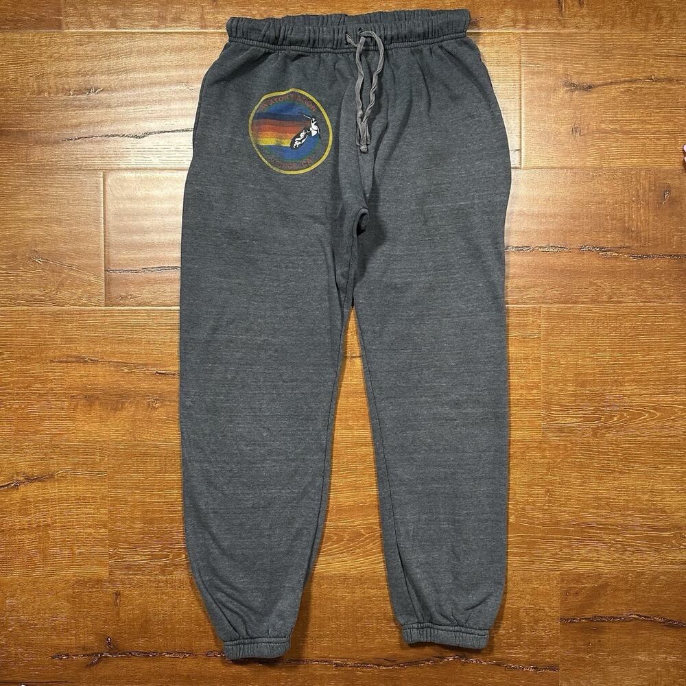 Aviator Nation Sweatpants Women M Gray Jogger Sweats Retro USA Beach Surf Lounge